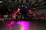 2005 11 12 fous swing 110